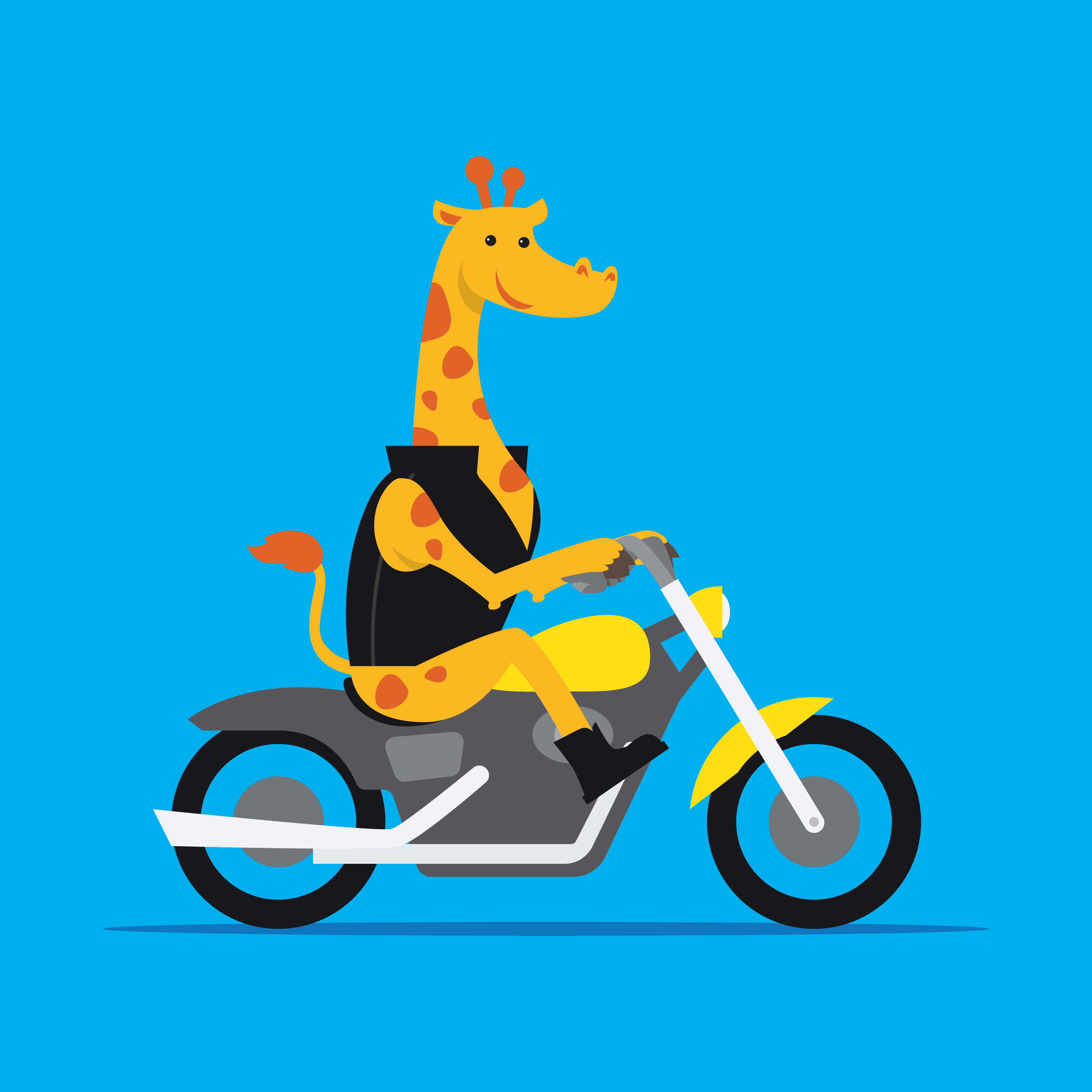 Animal ride. Мультяшки на мотоцикле. Медведь на мотоцикле вектор. Рисунки животных на байке. Мультяшный кот на мотоцикле.