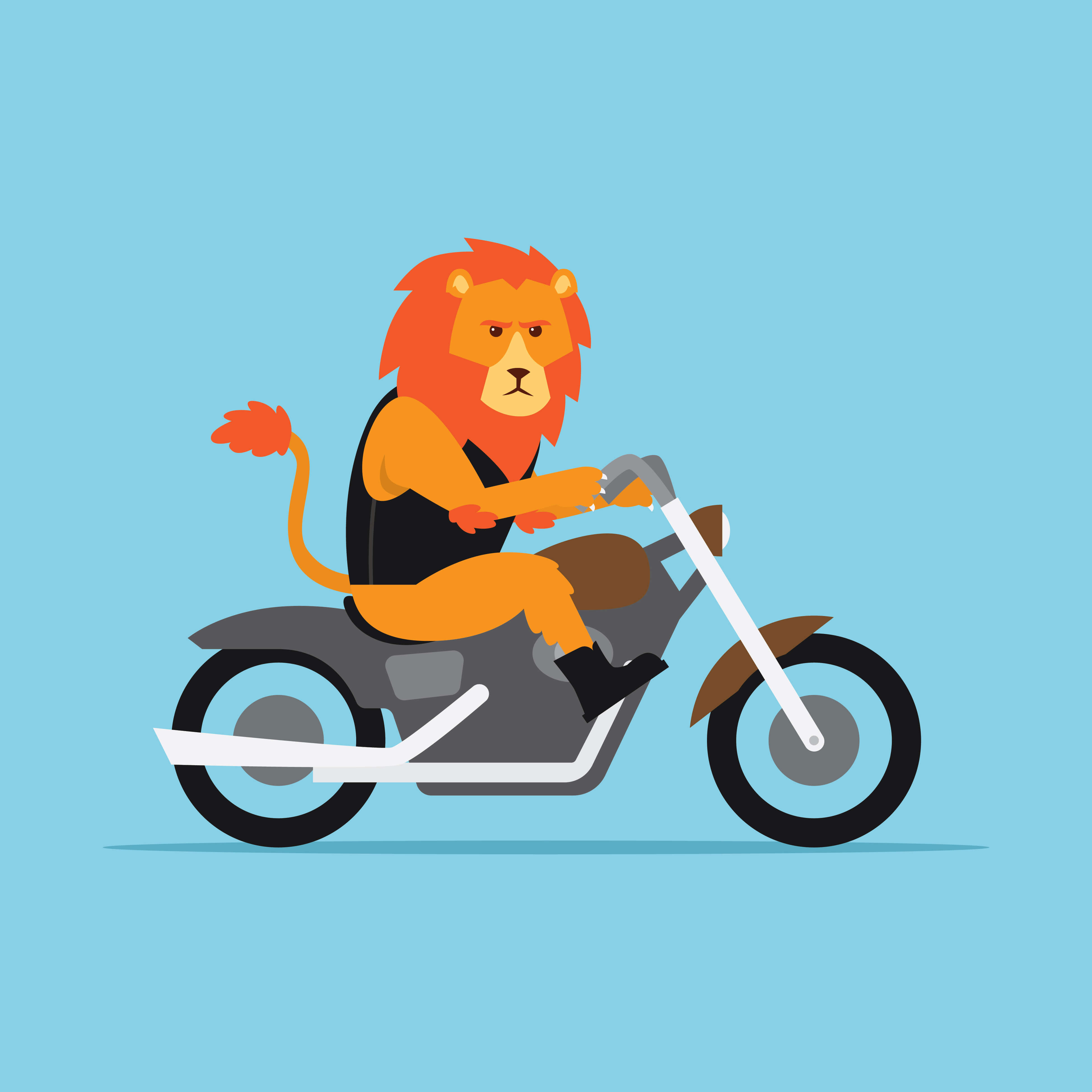 Animal Biker – Multimarket