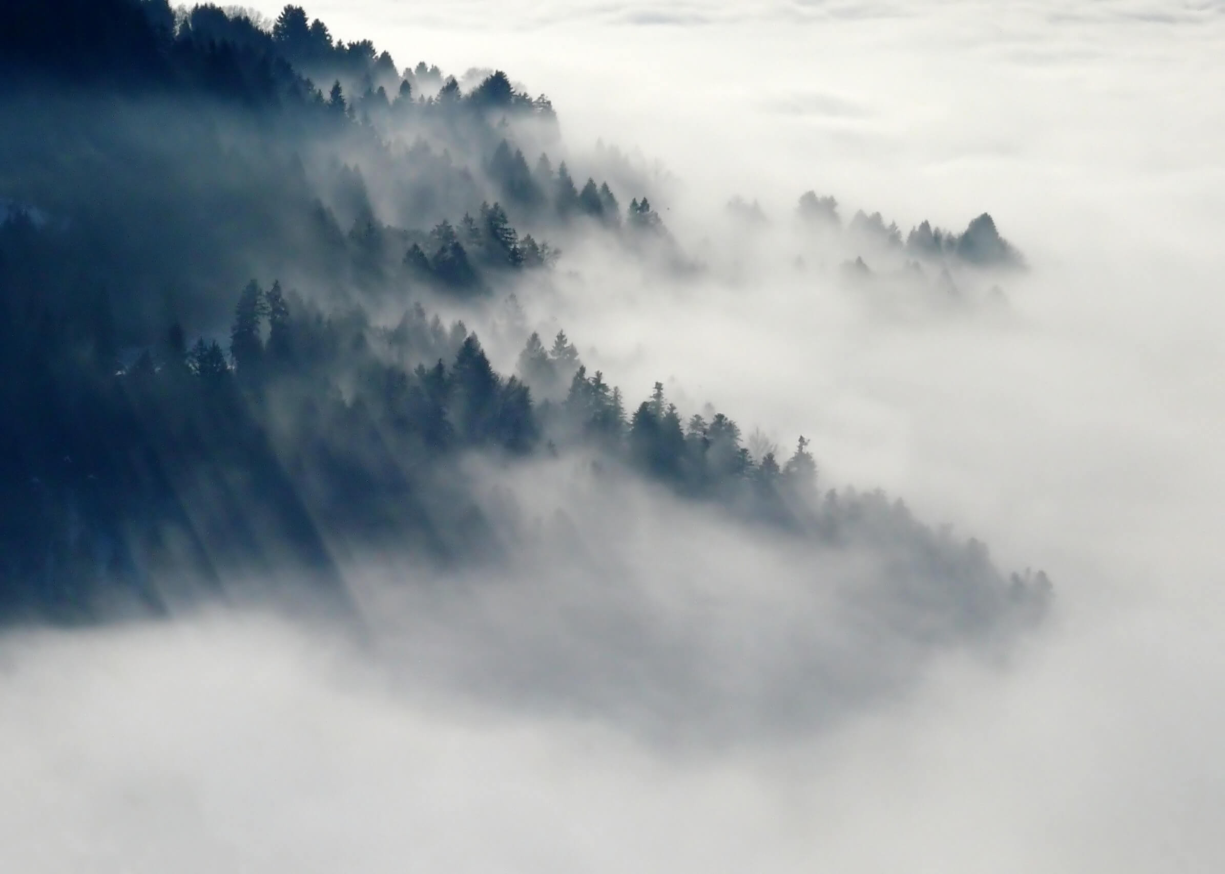 “Fog Beautifies” – A Short Hyperlapse Film