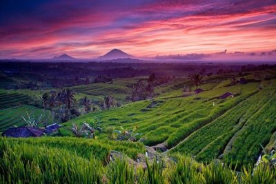 Landscape of Bali, Indonesia