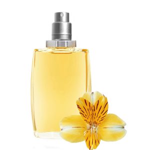 Pin by Cindy Keller on Vintage Shoe Horn